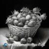 A black and white drawing of strawberries in basket