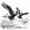 A black and white drawing of three birds in the ocean