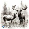A black and white drawing of two elk in a field
