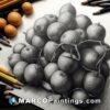 A black and white drawing with oranges