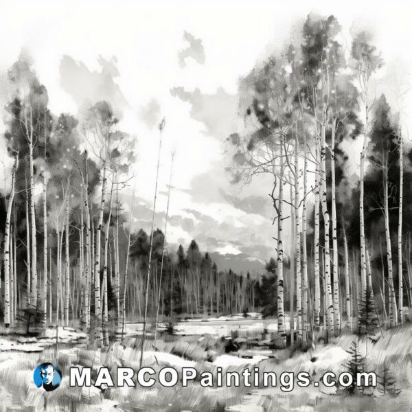 A black and white illustration of an aspen forest