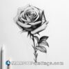 A black and white rose drawing with pencils next to it