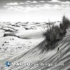 A black and white sketch of a sand dunes