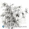 A black and white sketch of bamboo plants