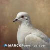 A dove sitting on a beige background