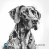 A drawing of a great dane dog looking in the direction