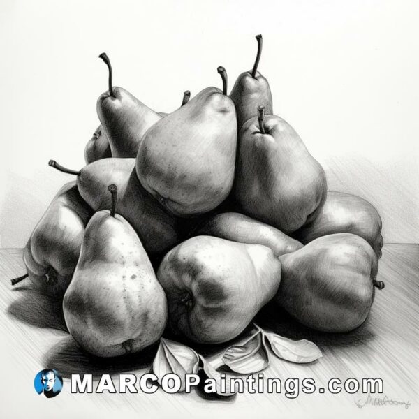 A drawing of a pile of pears