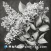 A drawing of lilacs in black and white