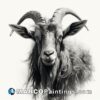 A grey charcoal drawing of a goat