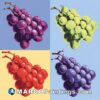 A group of four colourful grapes on four colourful pieces of artwork