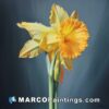 A painting of a daffodil flower is sitting on a grey background