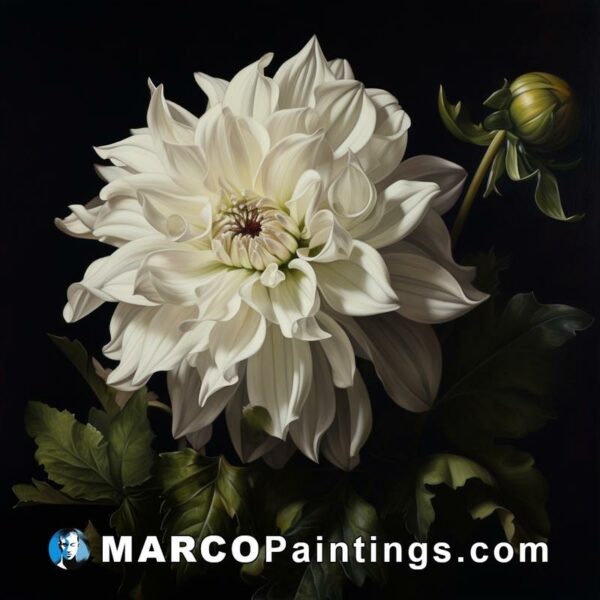 A painting of a dahlia flower with green leaves on a black background