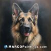 A painting of a german shepherd on a dark background