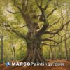 A painting of a large oak tree in the woods