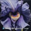 A painting of a plum purple iris is hanging on a black background