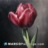 A painting of a red tulip in the rain