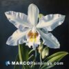 A painting of a white orchid on black