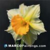 A painting of a yellow daffodil