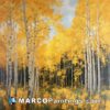 A painting of aspen tree in autumn colors
