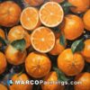 A painting of oranges laid down with leaves