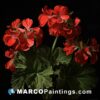 A painting of red geranium flowers and leaves