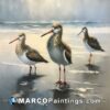 A painting of three birds walking on the beach