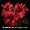 A painting of three red hibisces against a black background