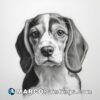 A pencil drawing of a beagle puppy