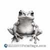 A pencil drawing of a tree frog on top of rock sitting