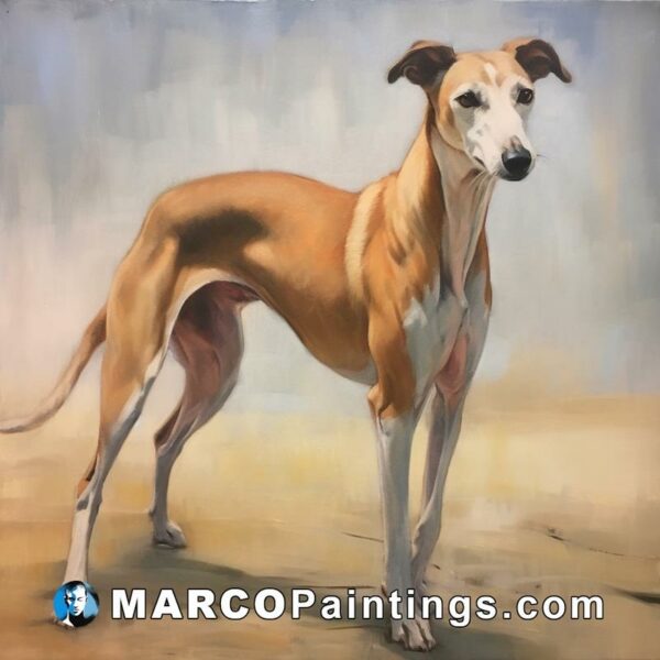 A red and white painting of a greyhound dog standing