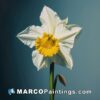 A white and yellow flower painting on blue wall