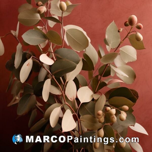 An arrangement of dried eucalyptus tree branches on a red surface