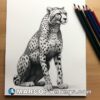 An drawing of a cheetah at a table with sketch pencils