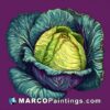 An illustration of an image of a cabbage in a purple background