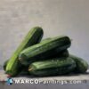 An oil painting of a pile of cucumbers