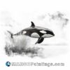 An orca jumps by a water at ink on paper