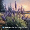 An painting of lavender plants in the sunset