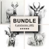 Antelope Black White Draw Sketch Bundle