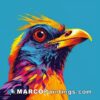 Artistic portrait of a brightly colored bird on blue background