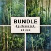 Bamboo Oil Painting Bundle