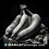 Bananas ink on paper black & white