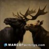 Black and brown moose portrait