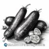 Black and white drawing of an eggplant with its peeled slices