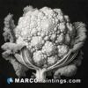 Black and white drawing of cauliflower