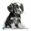 Black and white puppy drawings for sale
