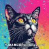 Black cat on a colorful background illustration