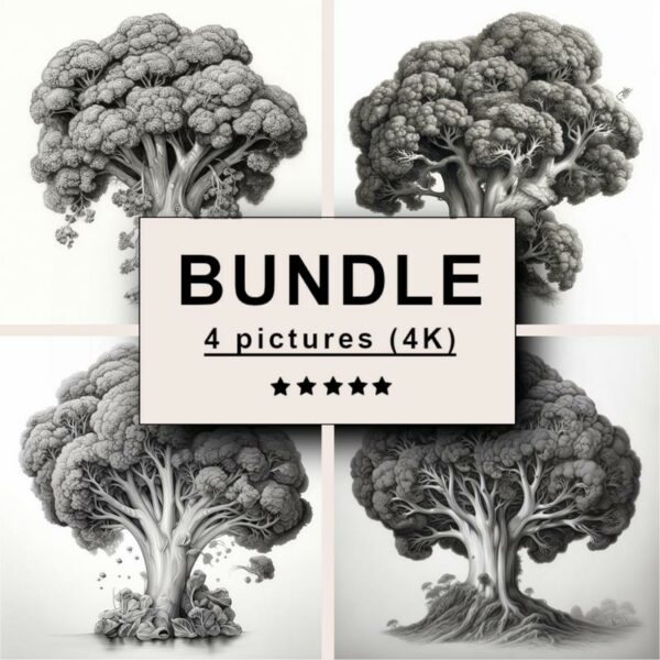 Broccoli Black White Draw Sketch Bundle