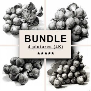 Brussels Sprouts Black White Draw Sketch Bundle