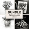 Carrots Black White Draw Sketch Bundle