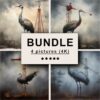 Crane Oil Painting Bundle